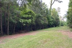 000 Belle Acres Drive photo 4