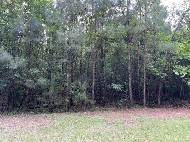 000 Belle Acres Drive Photo 4