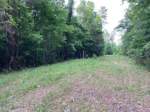 000 Belle Acres Drive Photo 5