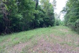 000 Belle Acres Drive photo 4