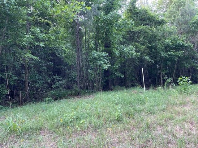 000 Belle Acres Drive Photo 6