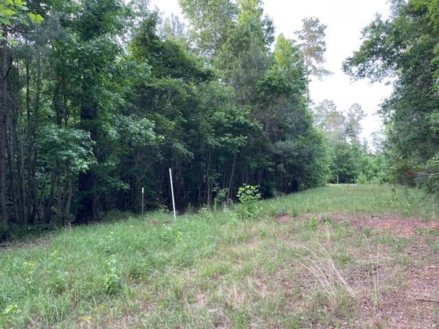 000 Belle Acres Drive Photo 7