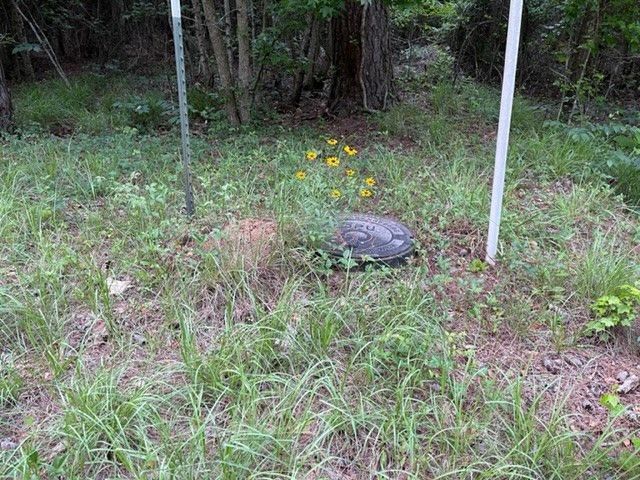 000 Belle Acres Drive Photo 9