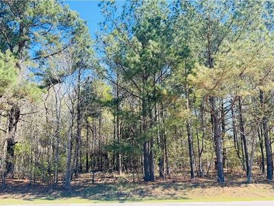 142 Brown Meadows Court, Orangeburg, SC 29115