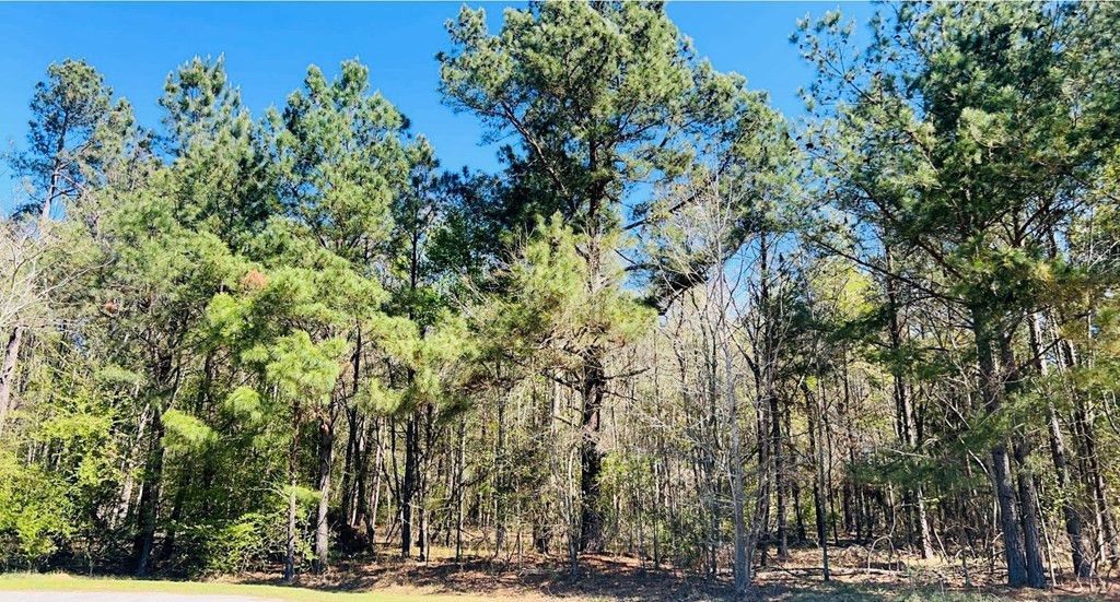 142 Brown Meadows Court Photo 2