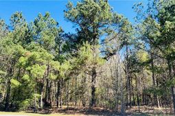 142 Brown Meadows Court photo 4