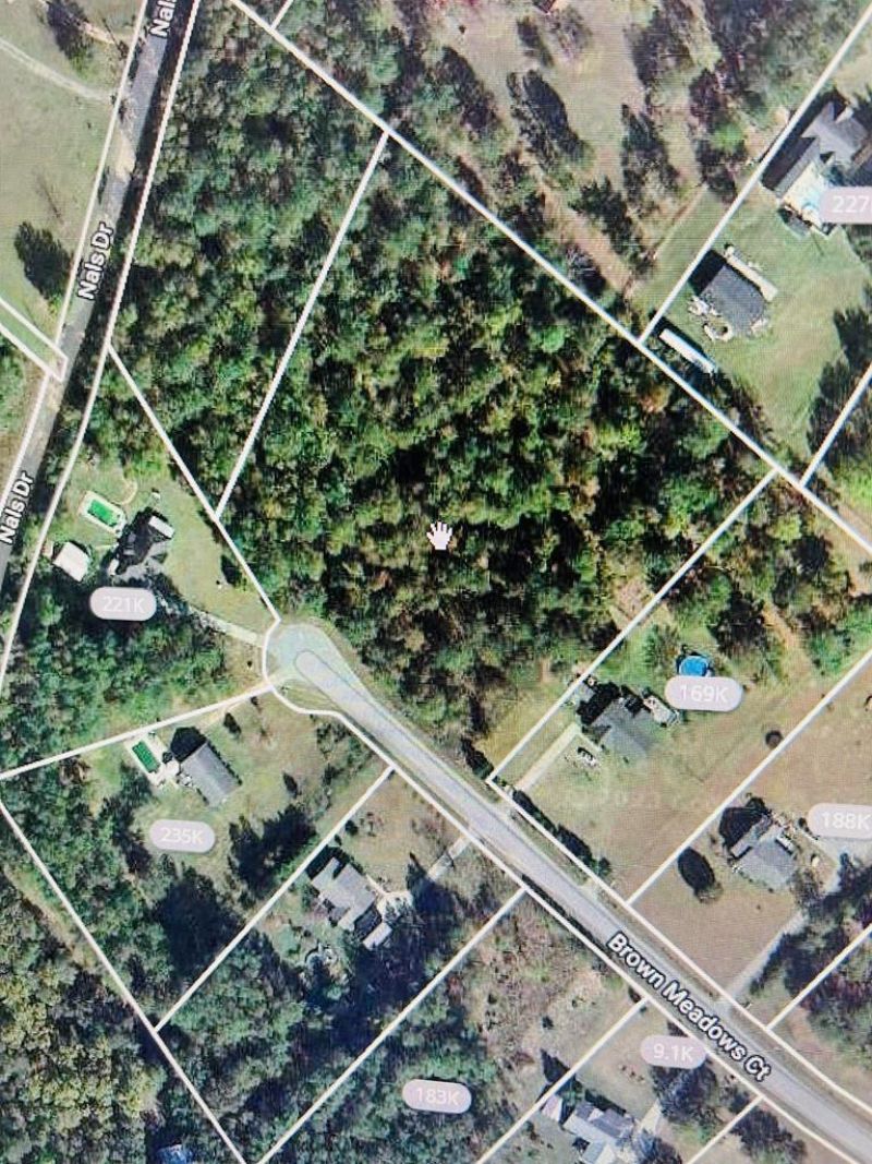 142 Brown Meadows Court Photo 3