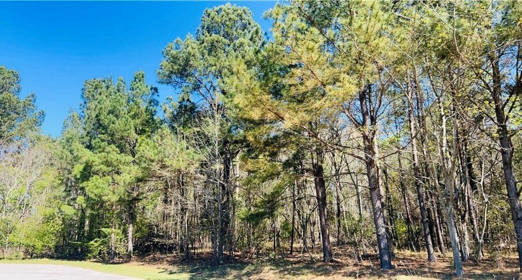 142 Brown Meadows Court Photo 4