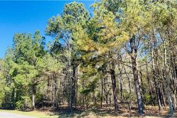 142 Brown Meadows Court photo 4