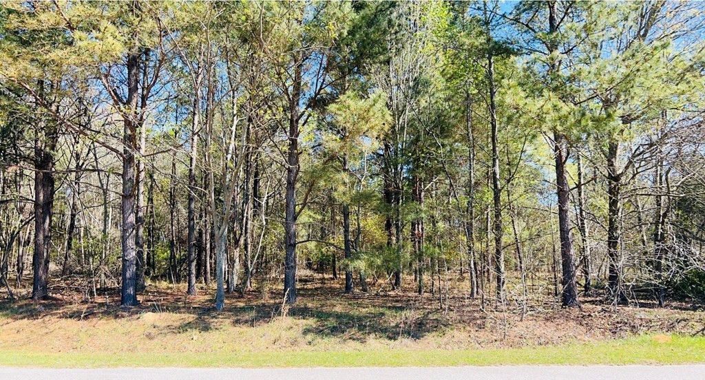 142 Brown Meadows Court Photo 5