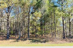 142 Brown Meadows Court photo 4