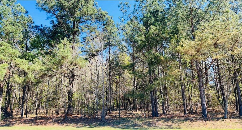 142 Brown Meadows Court Photo 6