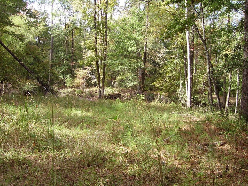 0 Sandy Landing Lane Photo 11