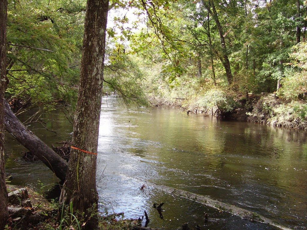 0 Sandy Landing Lane Photo 12