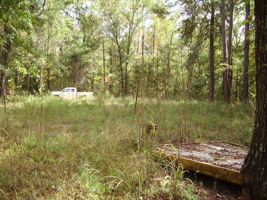 0 Sandy Landing Lane Photo 13