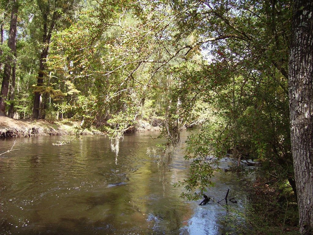 0 Sandy Landing Lane Photo 14