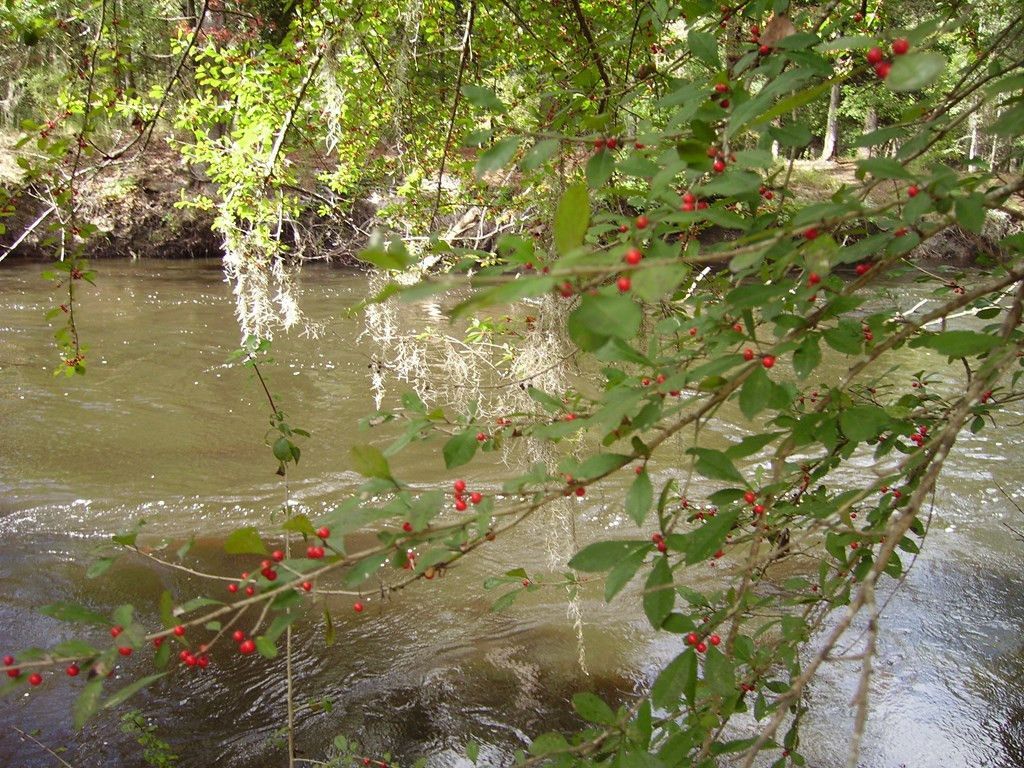 0 Sandy Landing Lane Photo 15