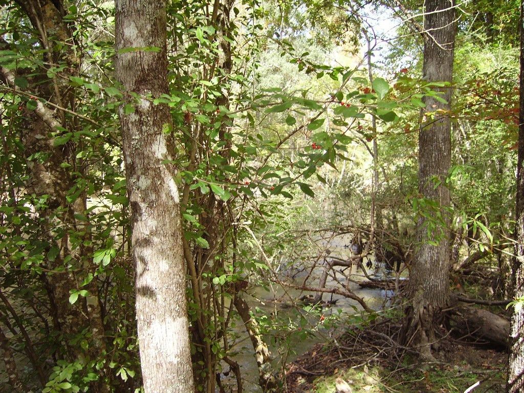 0 Sandy Landing Lane Photo 16