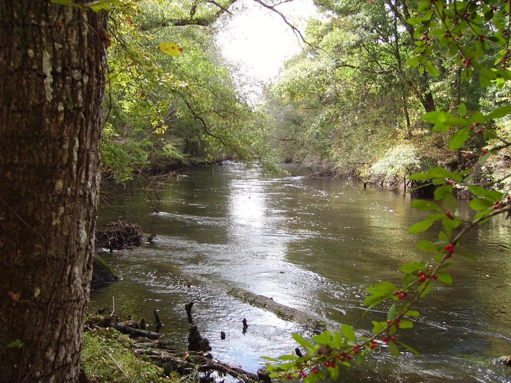 0 Sandy Landing Lane Photo 17