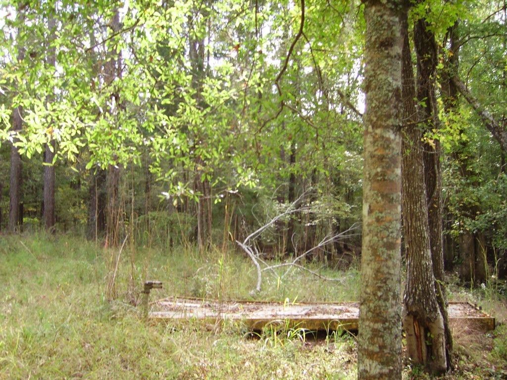 0 Sandy Landing Lane Photo 18