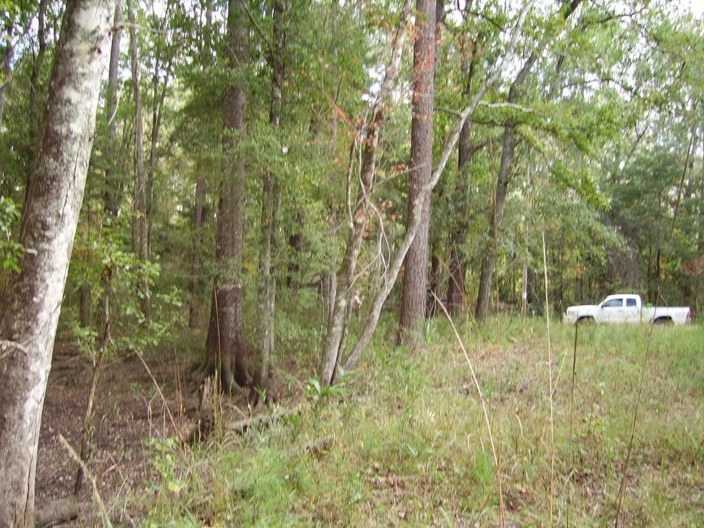 0 Sandy Landing Lane Photo 19