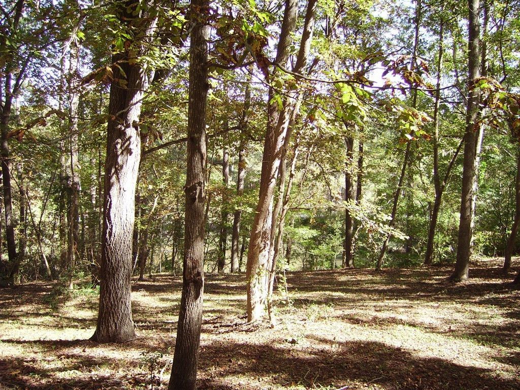 0 Sandy Landing Lane Photo 2