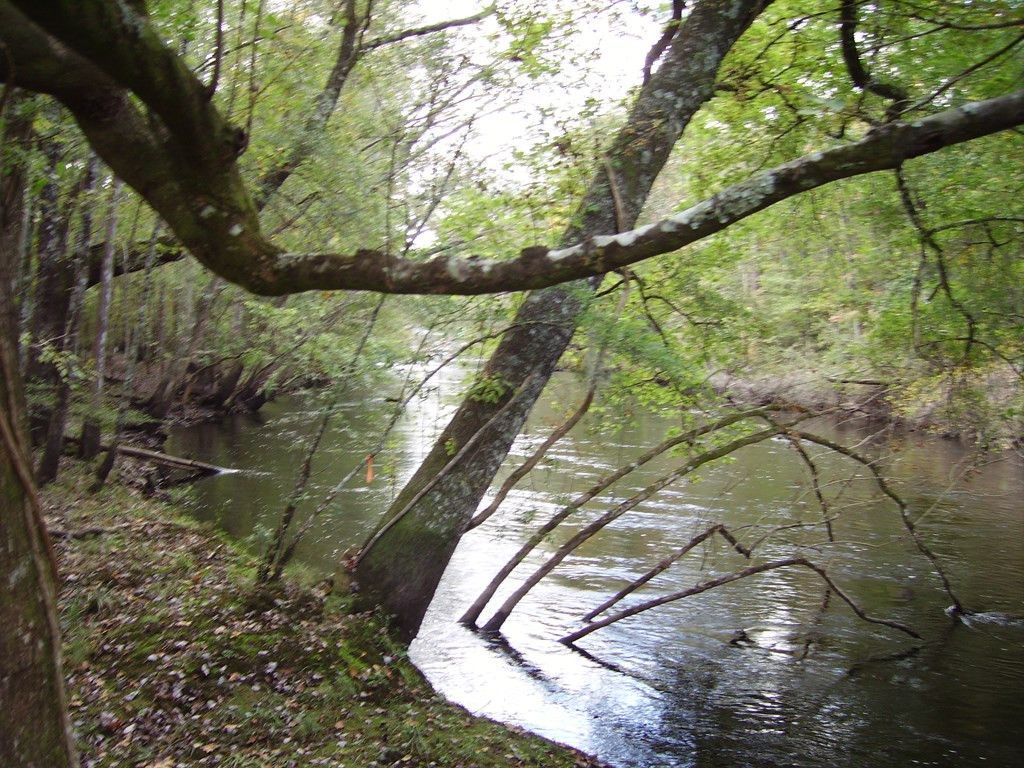 0 Sandy Landing Lane Photo 20