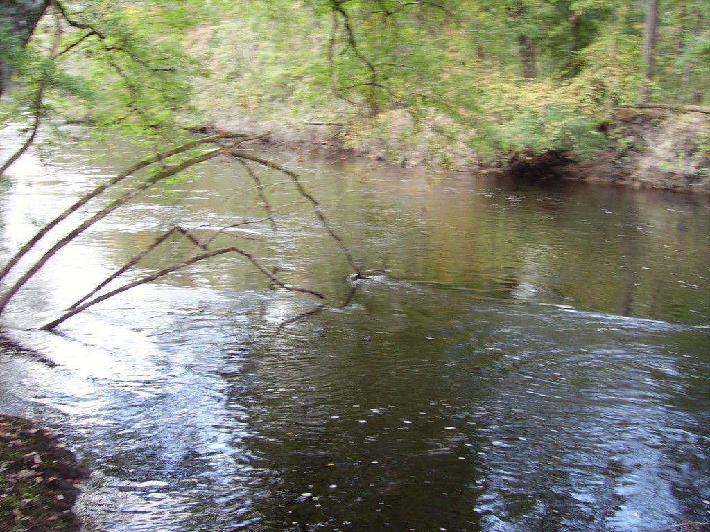 0 Sandy Landing Lane Photo 21