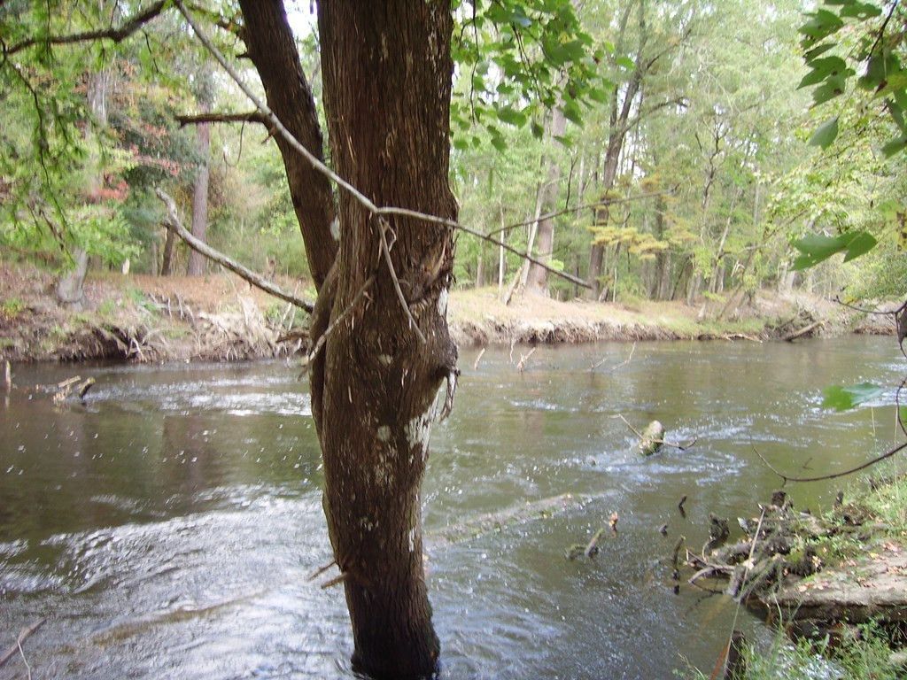 0 Sandy Landing Lane Photo 22