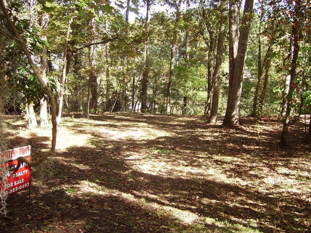 0 Sandy Landing Lane Photo 3