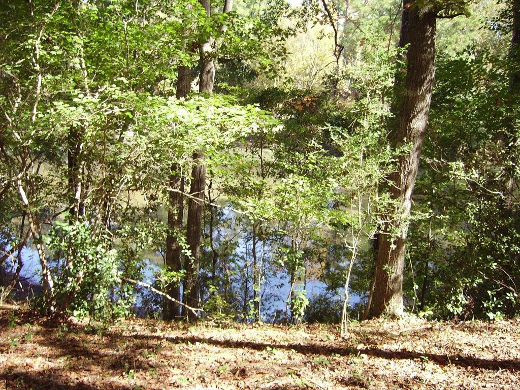 0 Sandy Landing Lane Photo 4