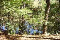 0 Sandy Landing Lane photo 4