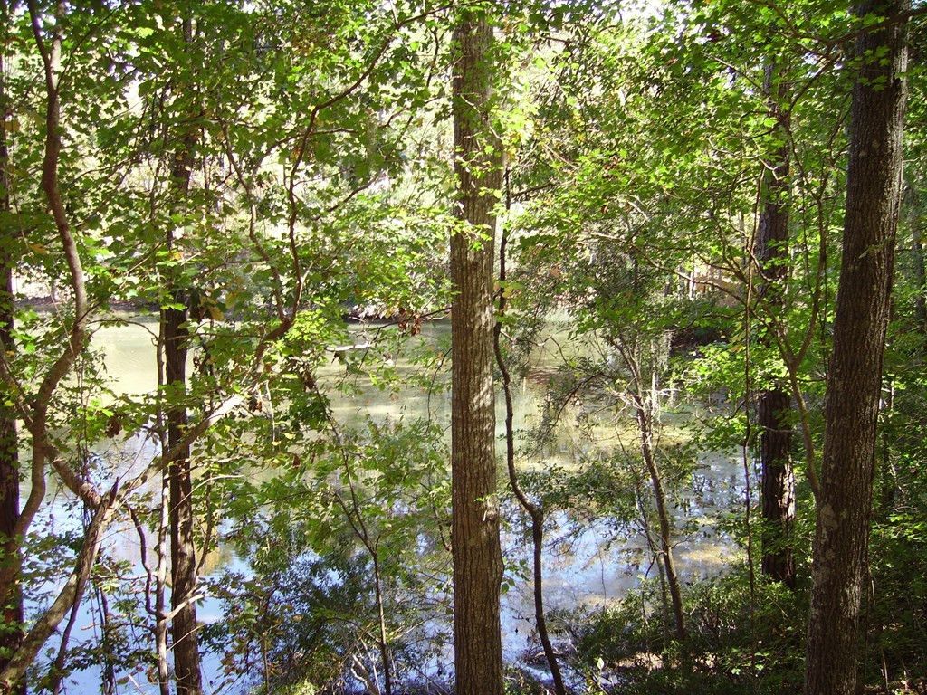 0 Sandy Landing Lane Photo 5