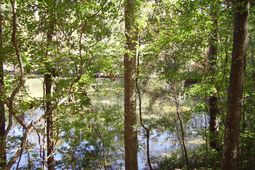 0 Sandy Landing Lane photo 4