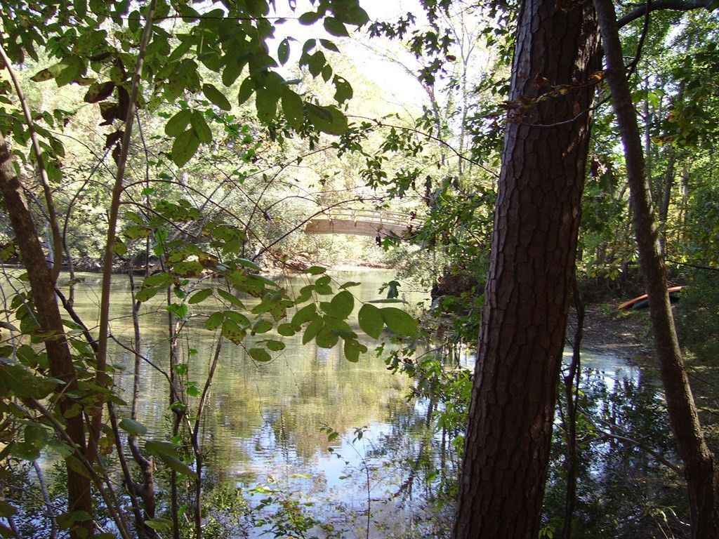 0 Sandy Landing Lane Photo 6