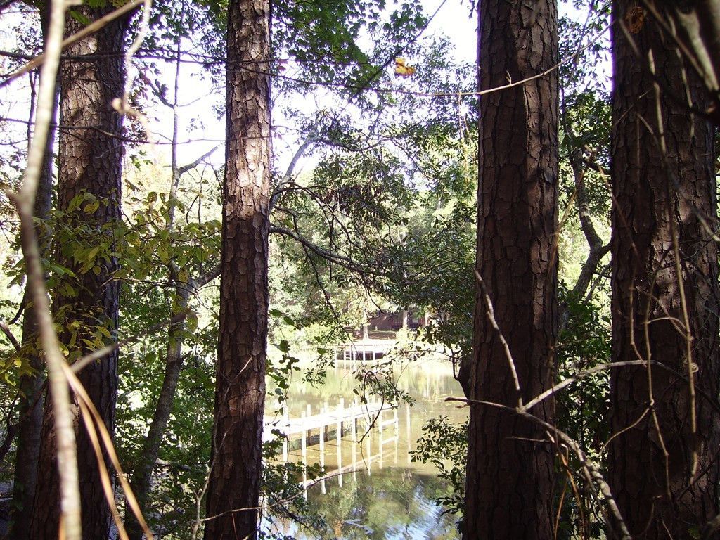 0 Sandy Landing Lane Photo 7