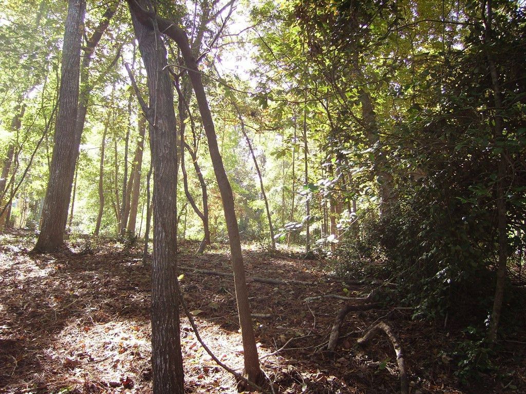 0 Sandy Landing Lane Photo 8