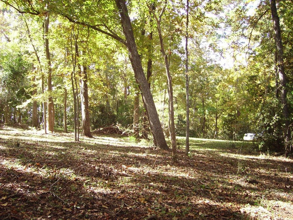 0 Sandy Landing Lane Photo 9