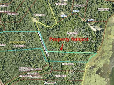 TBD Lot 5 New Manz Drive, Lake George, MN 56458