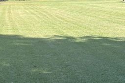 18 Kelly Road photo 4