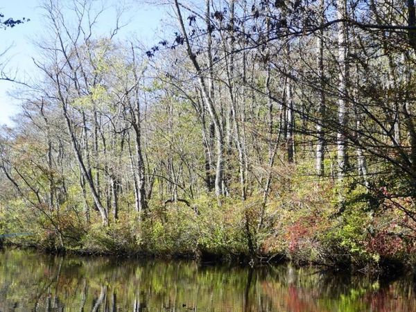 0 MEADOW BRIDGE ROAD, SNOW HILL, MD 21863