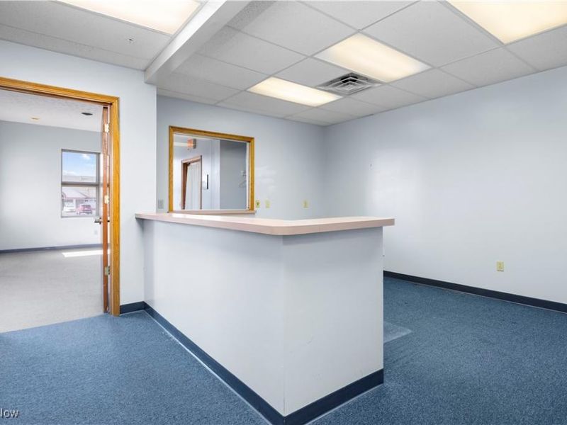 5319 Meadow Lane Court, Sheffield Village, OH 44035 Photo 16