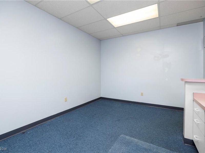 5319 Meadow Lane Court, Sheffield Village, OH 44035 Photo 20