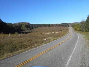 4738 Roszyk Hill LOT #2 Road, Machias, NY 14101