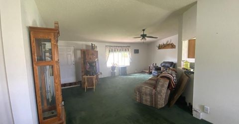 451 Manley Ranch Road, Round Mountain, NV 89045 Photo