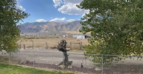 451 Manley Ranch Road, Round Mountain, NV 89045 Photo