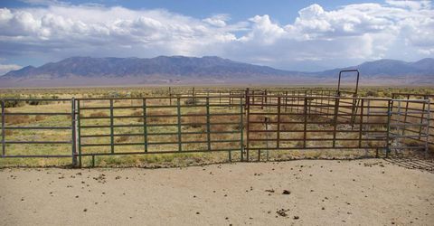 451 Manley Ranch Road, Round Mountain, NV 89045 Photo