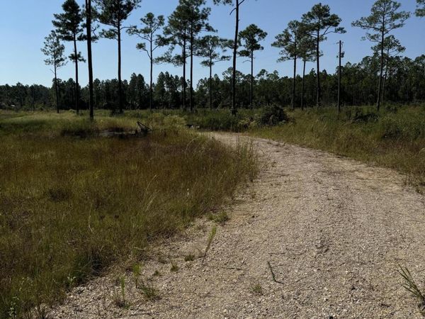 0 Dantzler Road, Vancleave, MS 39565