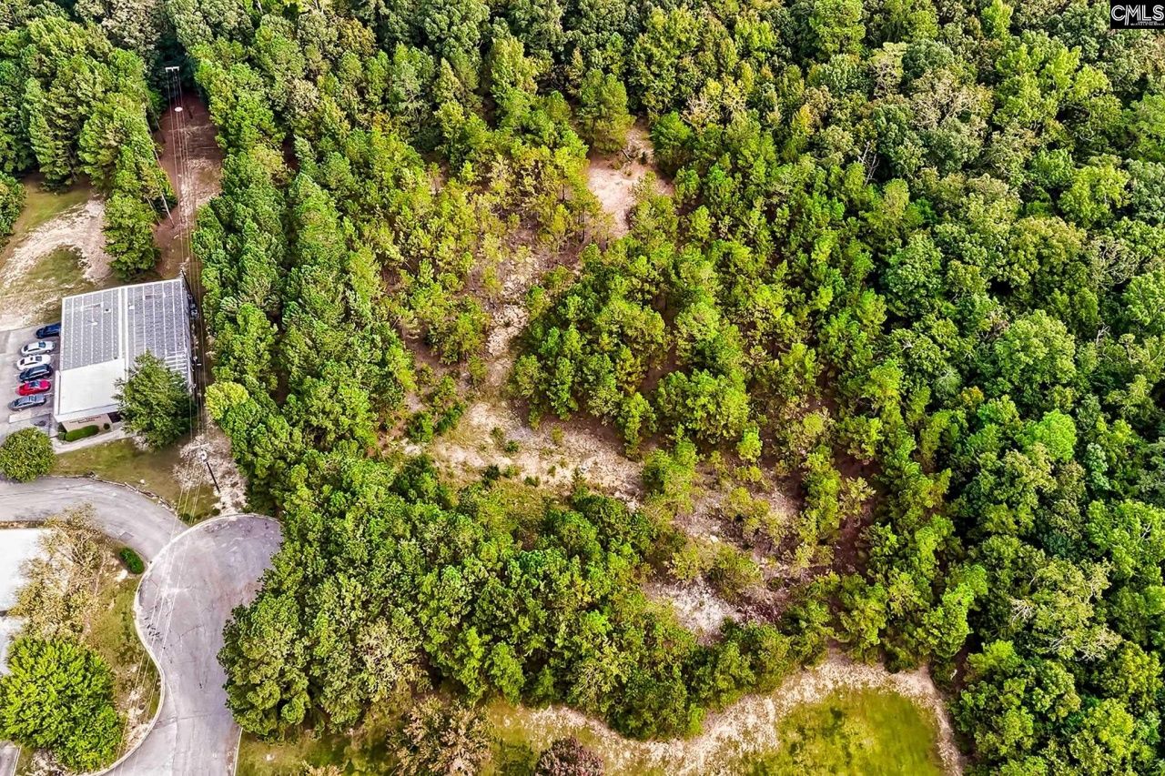 184 Lott Court Photo 11