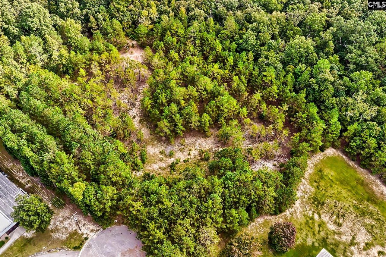 184 Lott Court Photo 7